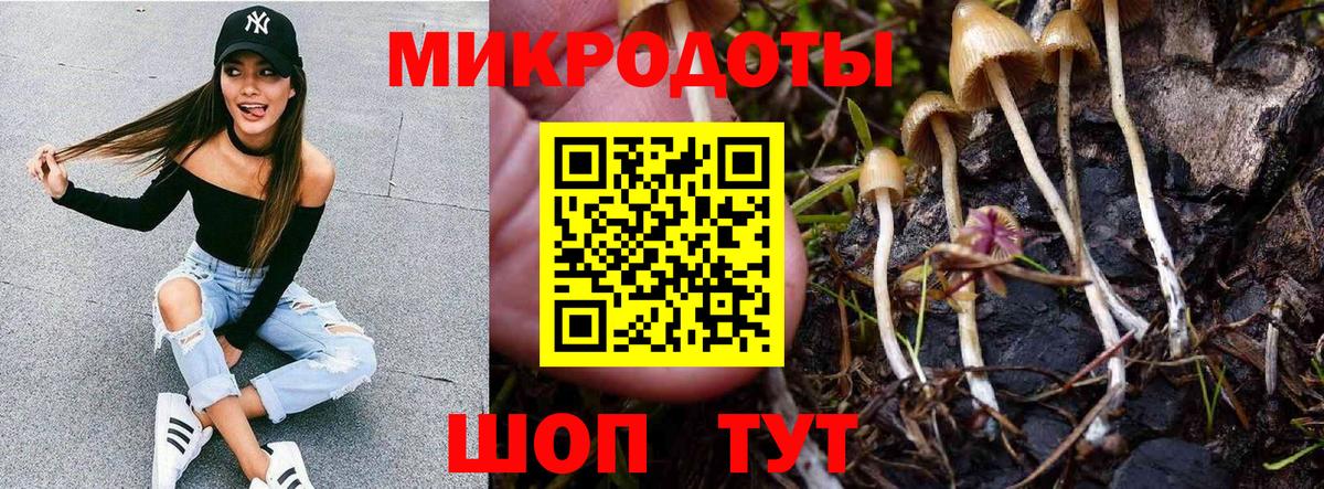 Дзержинск  Псилоцибиновые грибы GOLDEN TEACHER  что такое наркотик  Вход с VPN 